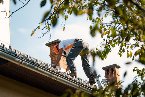 Best Roof Repair Services  in Colby, WI